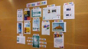 Celebración Internacional IDOR